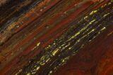Polished Tiger Iron Stromatolite - Billion Years #129276-1